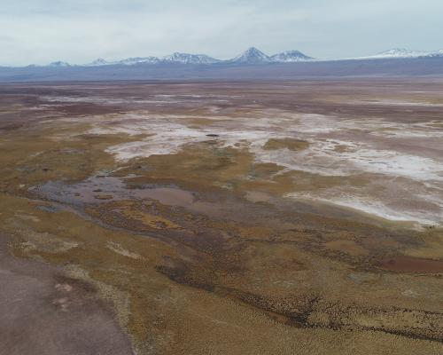 Imagen del monumento Laguna Tebenquiche