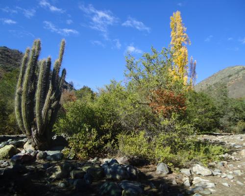 Imagen del monumento Sitio denominado Monte Aranda