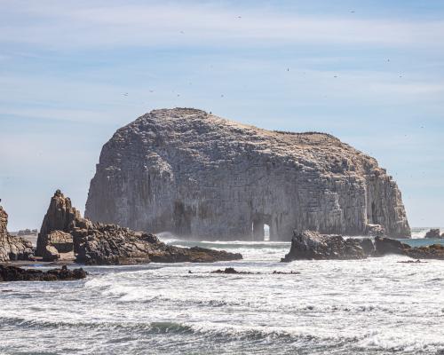 Imagen del monumento Las Rocas de Constitución