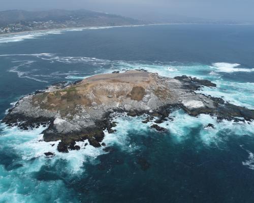 Imagen del monumento Isla de Cachagua