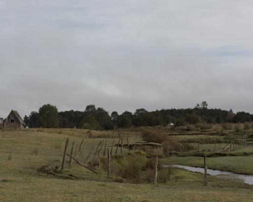 Imagen del monumento Sector predio Monte Verde