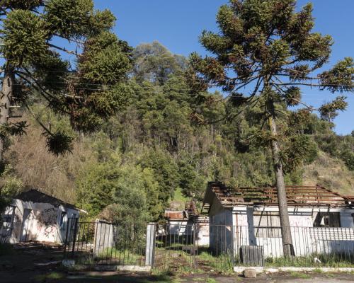 Imagen del monumento Cerro Colo Colo