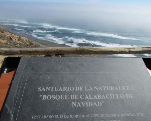 Imagen del monumento Bosque de Calabacillo