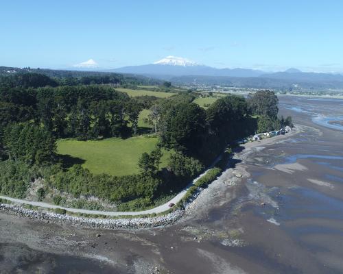 Imagen del monumento Bosque Fósil de Punta Pelluco