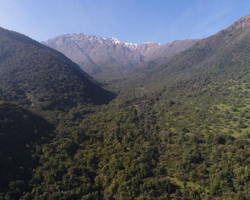 Imagen del monumento Torcazas de Pirque