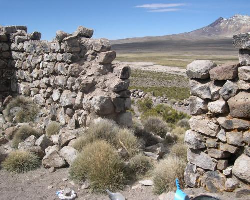 Imagen del monumento Tambo de Chungará