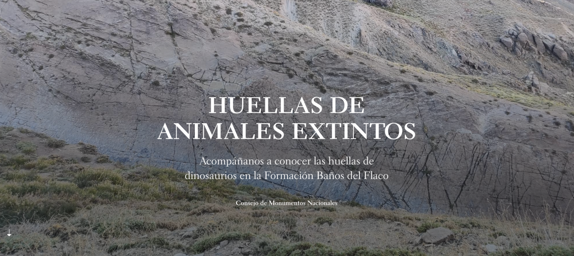 Portada visto Huellas de Animales Extintos