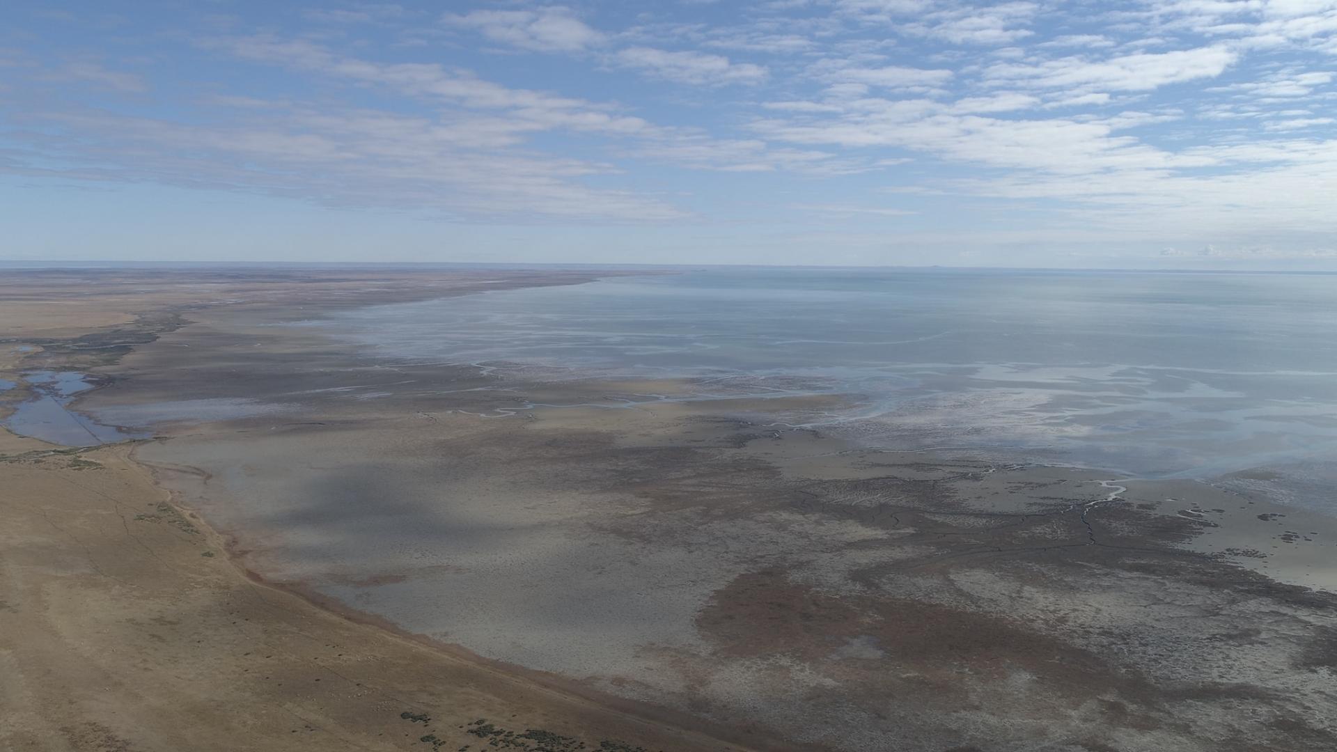 Imagen de Bahía Lomas, en Tierra del Fuego, se convierte en el Santuario de la Naturaleza más austral del país