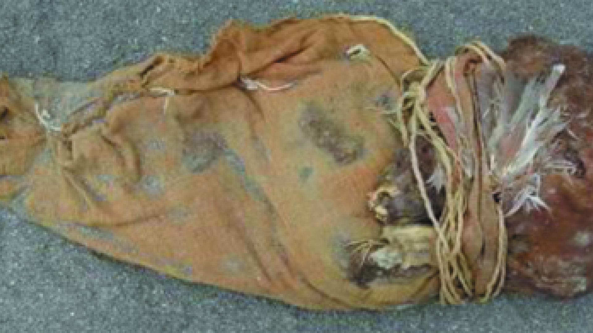 Imagen de Consejo de Monumentos Nacionales valora positivamente restitución de momias Chinchorro desde Suiza