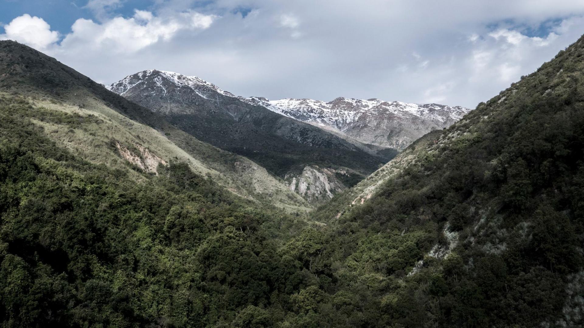 Imagen de Región Metropolitana tiene un nuevo Santuario de la Naturaleza