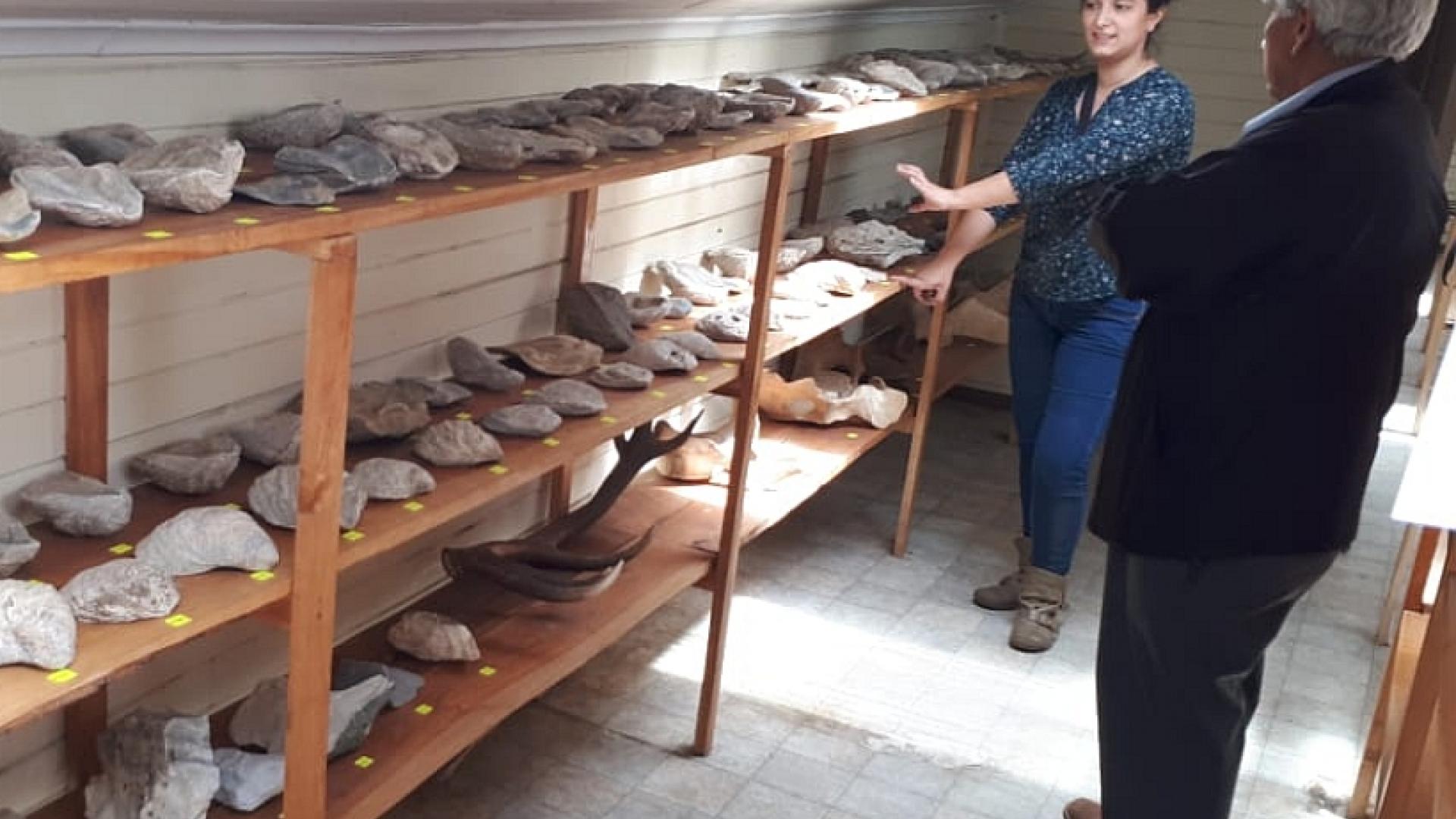 Imagen de CMN y Aduanas clasificaron fósiles y otras especies decomisadas en la Región de Aysén