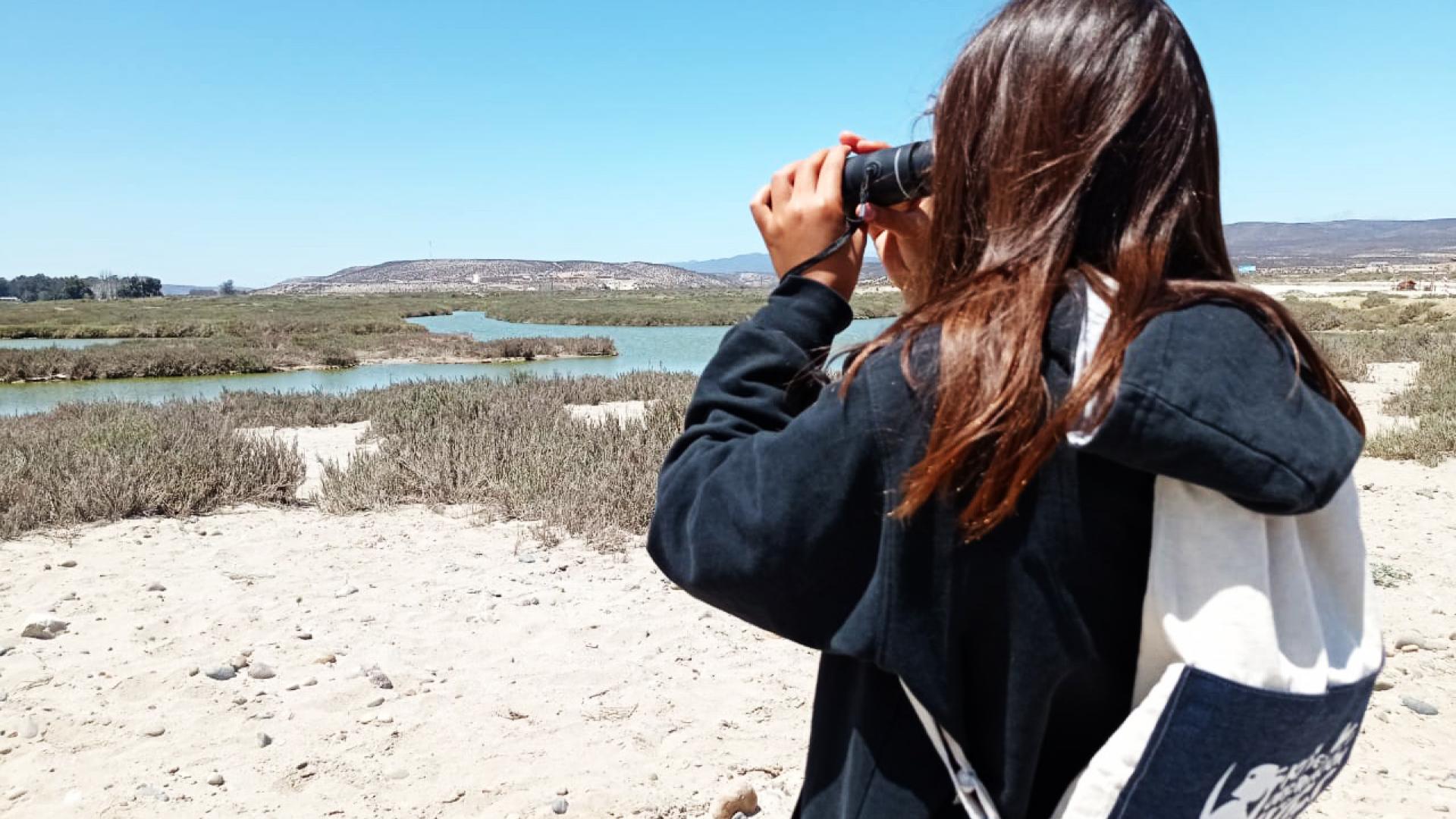 Imagen de Biblioteca Pública de Tongoy pone a disposición de la comunidad completo kit para la observación de aves