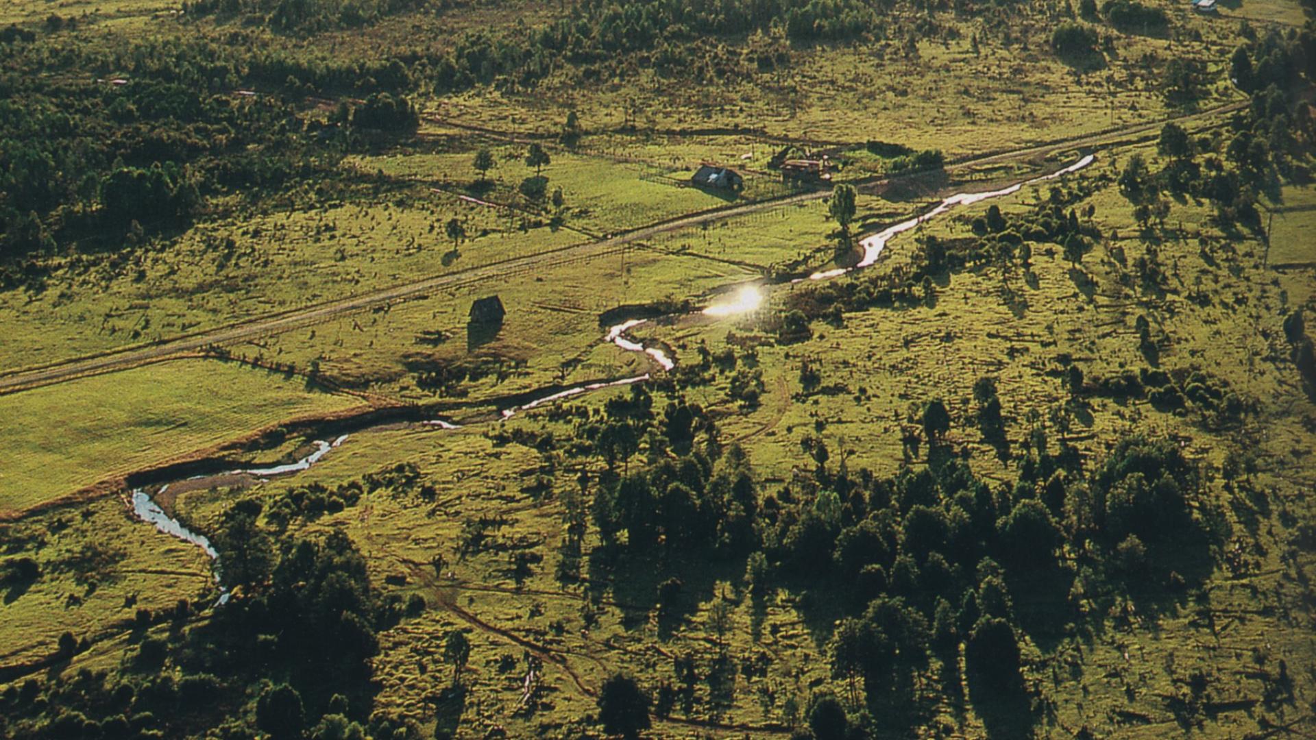 Imagen de Sitio Arqueológico Monte Verde