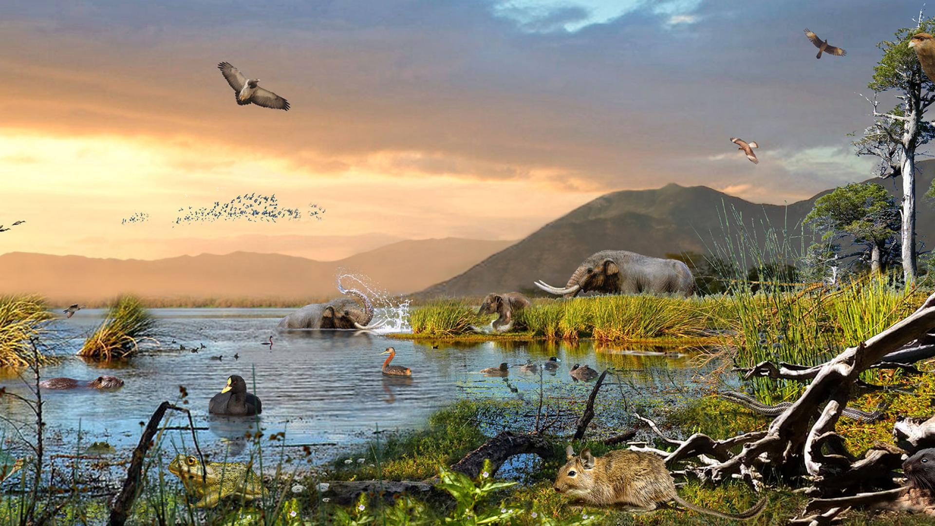 Imagen de Consejo de Monumentos Nacionales revela el potencial paleontológico de la Región de O’Higgins