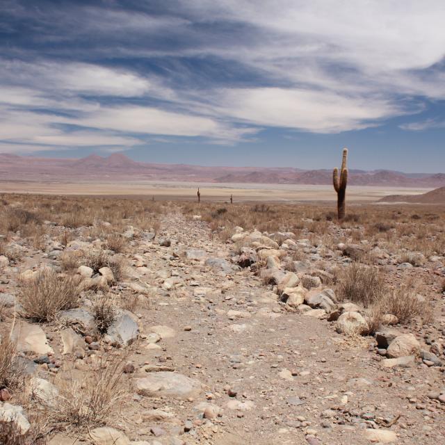 Imagen de Qhapaq Ñan-Sistema Vial Andino