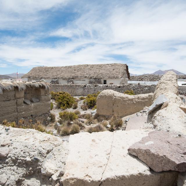 Imagen del monumento Todo el pueblo de Parinacota