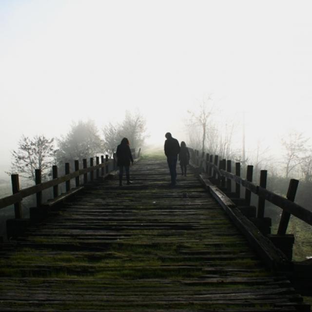 Imagen del monumento Puente viejo sobre el Río Itata