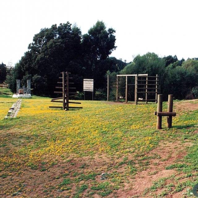 Imagen del monumento Parque hito a Galvarino