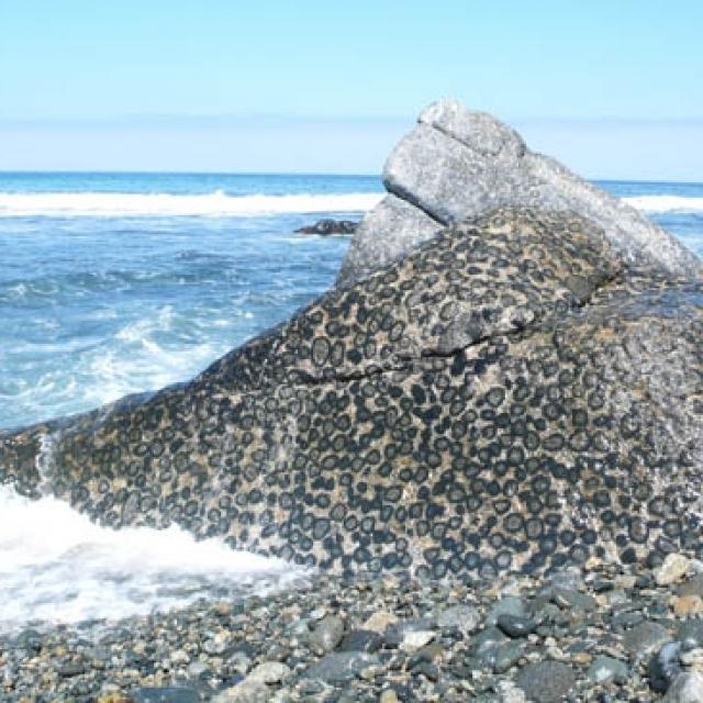 Imagen del monumento Terreno de 2,34 ha, ubicado en el Rodillo