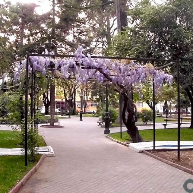 Imagen del monumento Plaza de Armas de Curicó con todos los edificios que la circundan