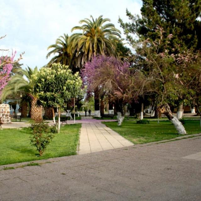 Imagen del monumento Plaza de Guacarhue