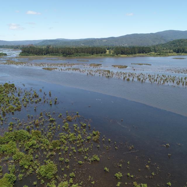 Imagen del monumento Zona húmeda de los alrededores de la ciudad de Valdivia