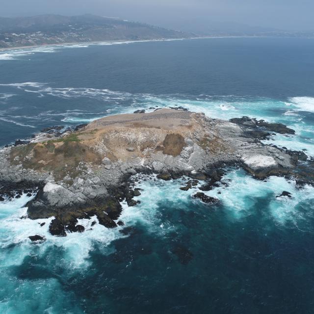 Imagen del monumento Isla de Cachagua