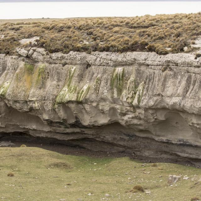 Imagen del monumento Cueva de la Leona