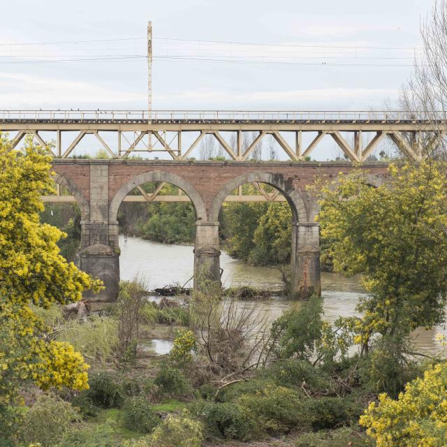 Imagen del monumento Puente sobre el río Pangue