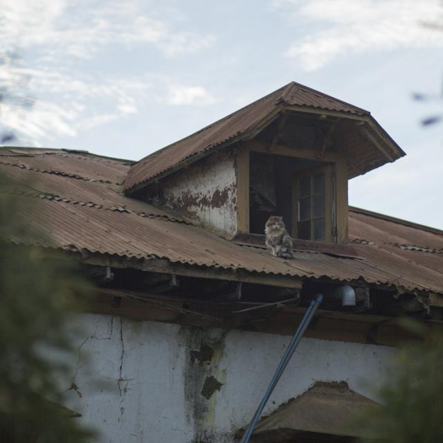 Imagen del monumento Casona El Tabo