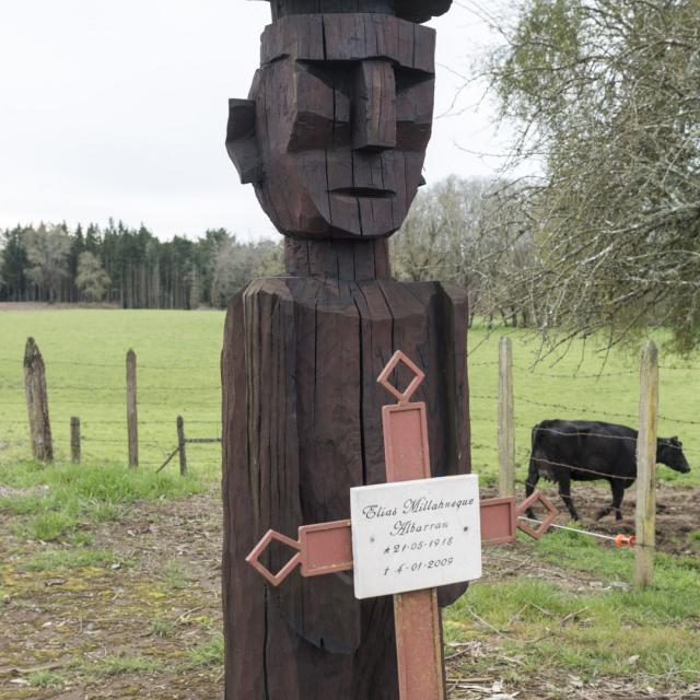 Imagen del monumento Complejo religioso y  ceremonial indígena mapuche de Nolgyehue ó Nolguehue, Eltuwe (cementerio) y Menoko