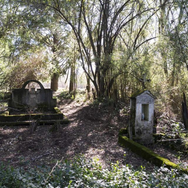 Imagen del monumento Eltun (cementerio mapuche) de Pelal Rucahue del lof Manquilef