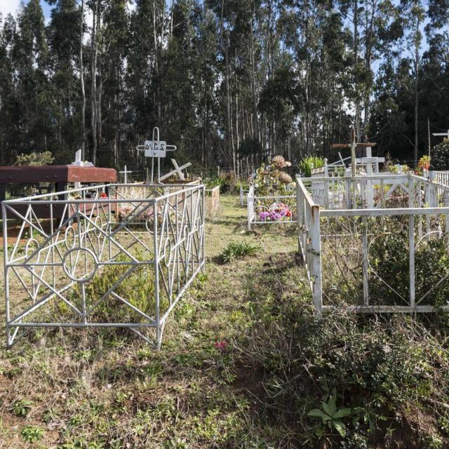 Imagen del monumento Eltun o cementerio mapuche ubicado en la localidad de Los Huape