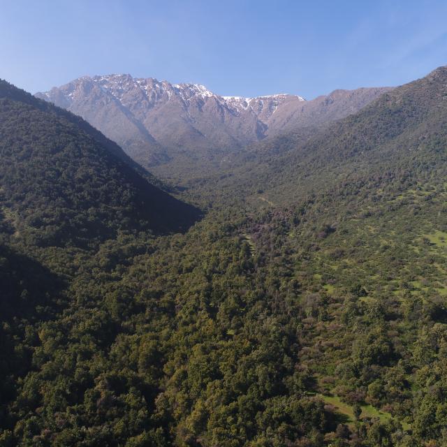 Imagen del monumento Torcazas de Pirque