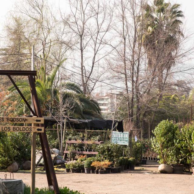 Imagen del monumento Cerro San Benito de los Piques