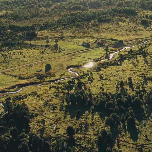 Imagen de Sitio Arqueológico Monte Verde