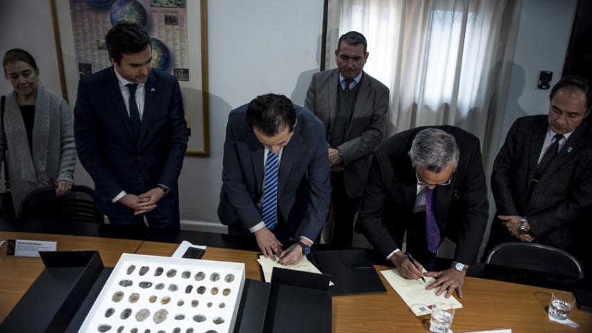 Imagen de Chile entrega a Bolivia 42 piezas paleontológicas incautadas en paso fronterizo