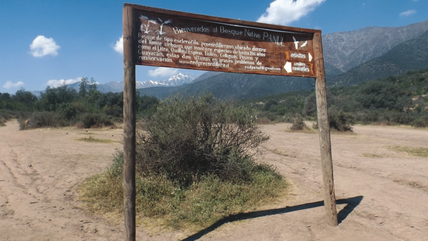 Imagen de Invitan a lanzamiento de libro El Panul, sitio de matanza de Lo Cañas en La Florida