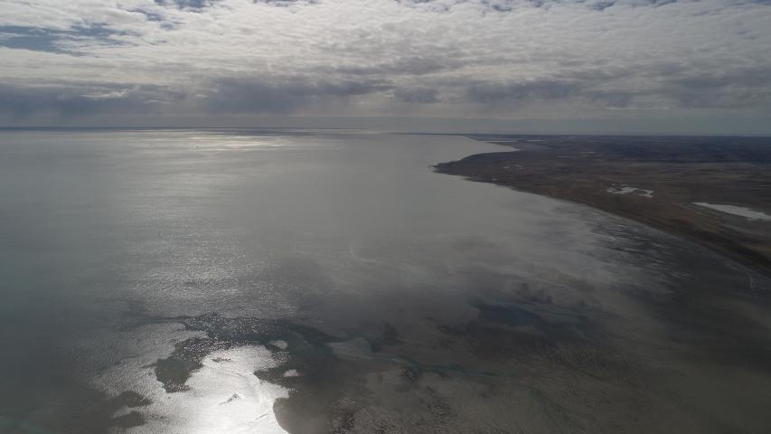 Imagen de Bahía Lomas, en Tierra del Fuego, se convierte en el Santuario de la Naturaleza más austral del país