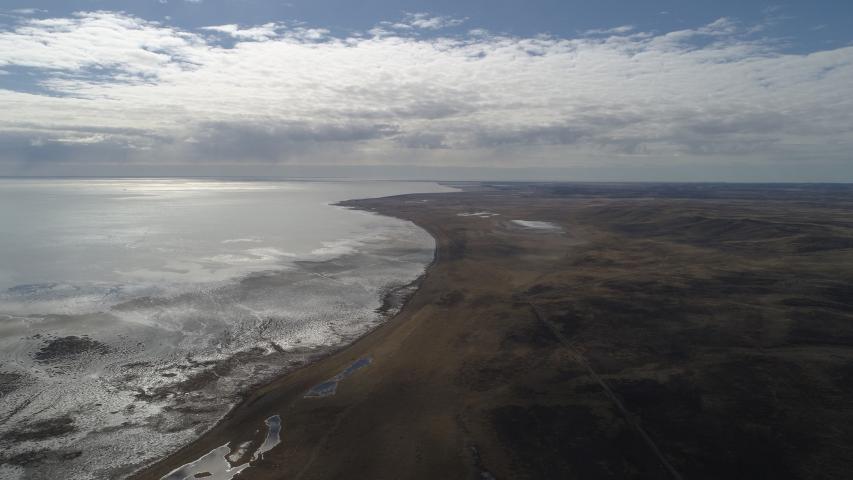 Imagen de Bahía Lomas, en Tierra del Fuego, se convierte en el Santuario de la Naturaleza más austral del país