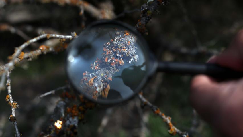 Imagen de Ministra de las Culturas visita uno de los cuatro Santuarios de la Naturaleza de la Región Metropolitana que abrirán gratuitamente para celebrar el Día de la Niñez