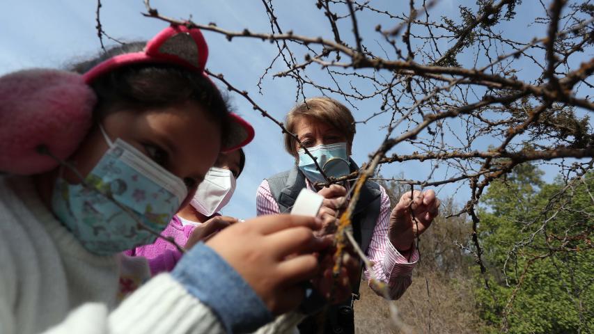 Imagen de Ministra de las Culturas visita uno de los cuatro Santuarios de la Naturaleza de la Región Metropolitana que abrirán gratuitamente para celebrar el Día de la Niñez