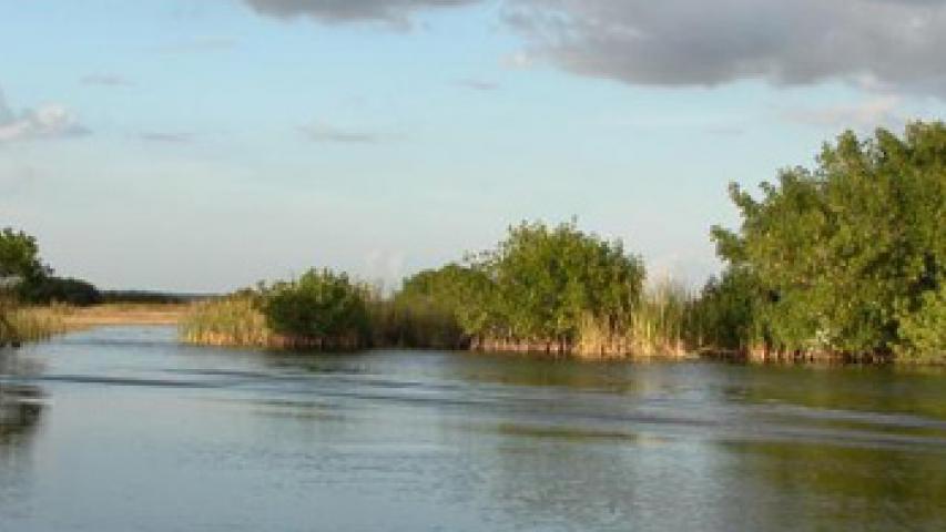 Imagen de Estados Unidos pide reingreso de su Parque Nacional de los Everglades a Lista de Patrimonio Mundial en Peligro