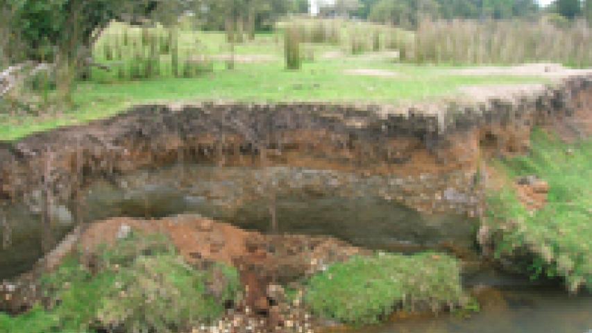 Imagen de Registro nacional estandarizado, reforzará conservación del patrimonio arqueológico chileno