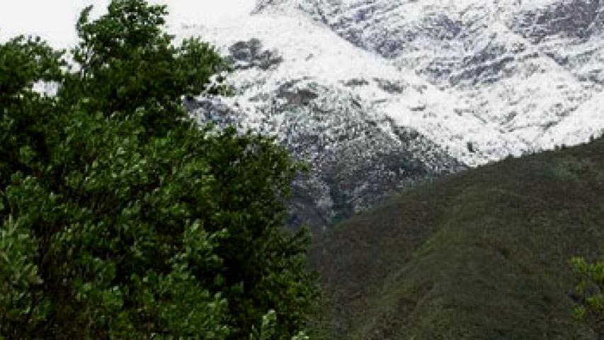 Imagen de Nuevo Santuario de la Naturaleza fortalece protección del pulmón verde de Santiago
