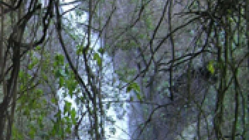 Imagen de Nuevo Santuario de la Naturaleza fortalece protección del pulmón verde de Santiago