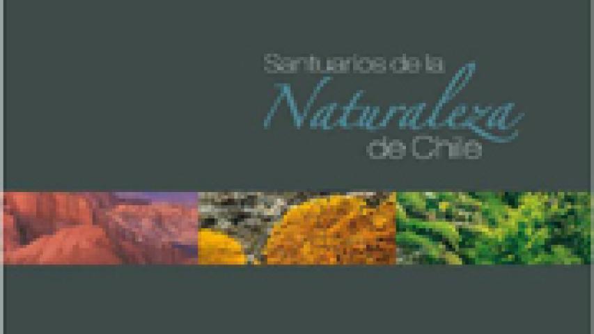 Imagen de Libro de santuarios de la naturaleza retrata labor del Consejo de Monumentos Nacionales en 40 años a cargo del tema
