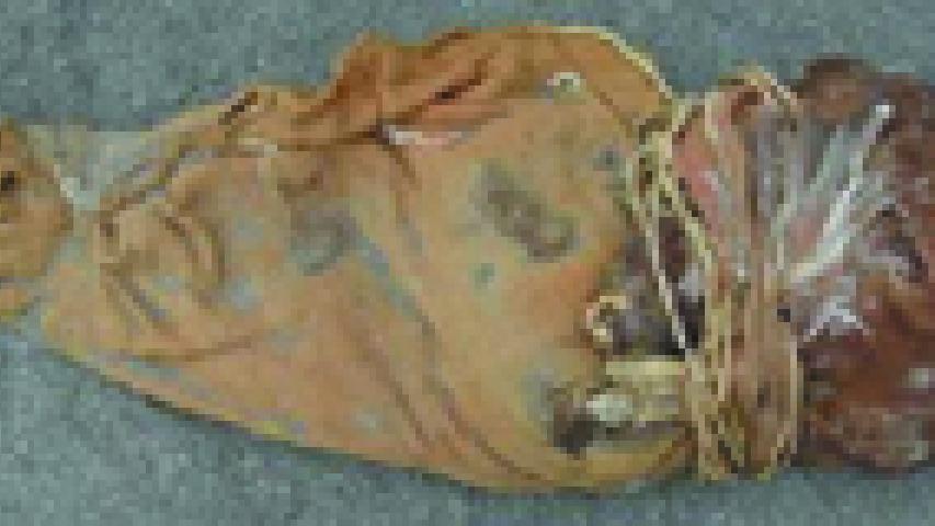 Imagen de Consejo de Monumentos Nacionales valora positivamente restitución de momias Chinchorro desde Suiza