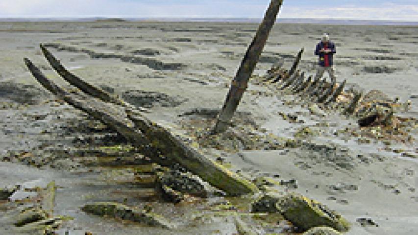 Imagen de NUEVOS ESPECIALISTAS EN ARQUEOLOGÍA SUBACUÁTICA SE FORMARÁN  EN CHILE