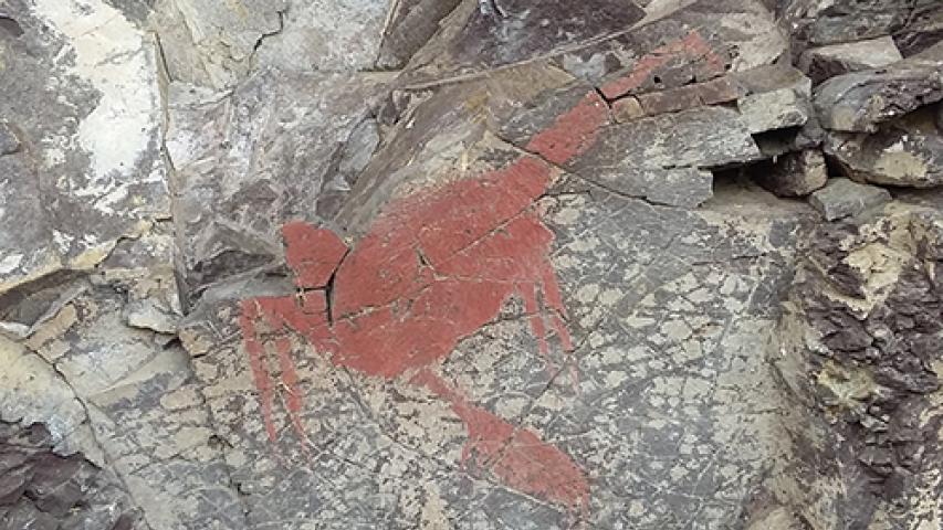 Imagen de CMN constata estado de conservación de pintura rupestre y Capilla de Mármol en la Región de Aysén